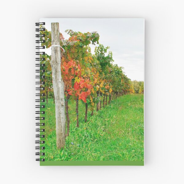 Item preview, Autumn Grape Vines Near Abbazia Rosazzo designed and sold by jojobob.