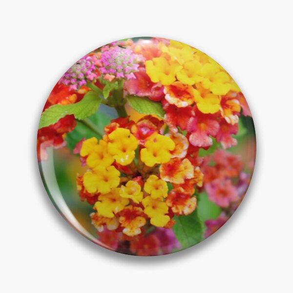 Item preview, Lantana Clusters designed and sold by Cynthia48.