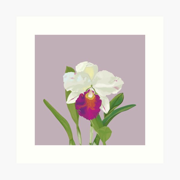CATTLEYA Art Print