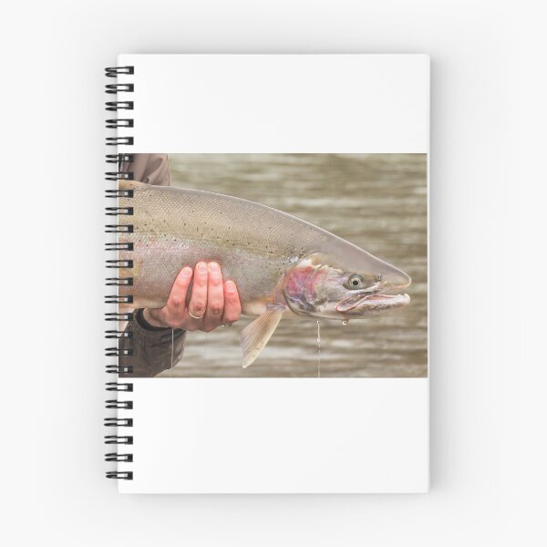Item preview, Fresh run skeena male spring steelhead trout with a predator scar designed and sold by SnapTPhotograph.