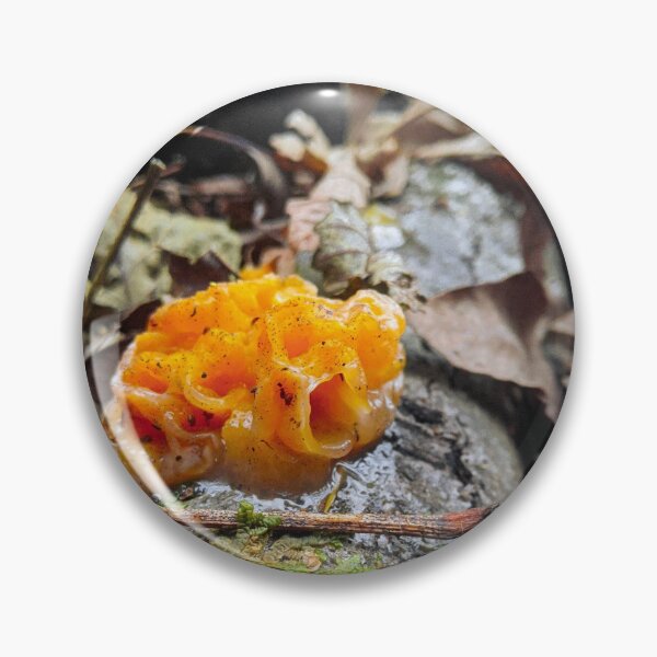 Item preview, Orange forest mushroom - Naturescape woods designed and sold by RoguePixel.
