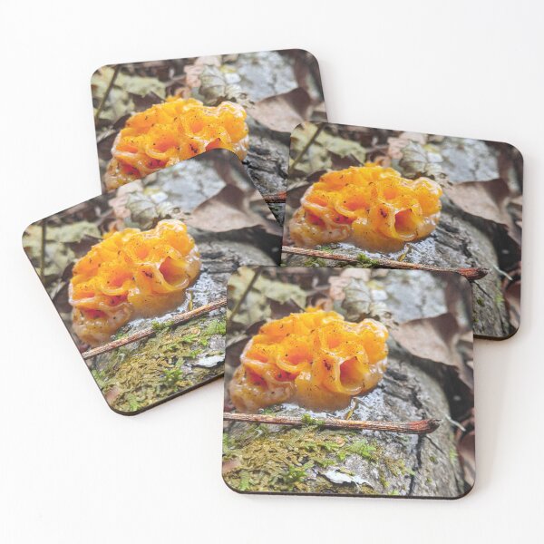 Item preview, Orange forest mushroom - Naturescape woods designed and sold by RoguePixel.