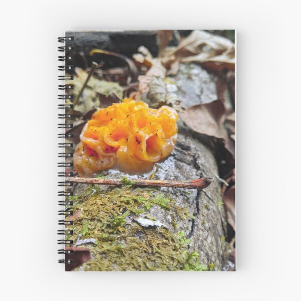 Item preview, Orange forest mushroom - Naturescape woods designed and sold by RoguePixel.