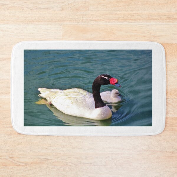 Item preview, Black-Necked Swan With Baby designed and sold by Cynthia48.