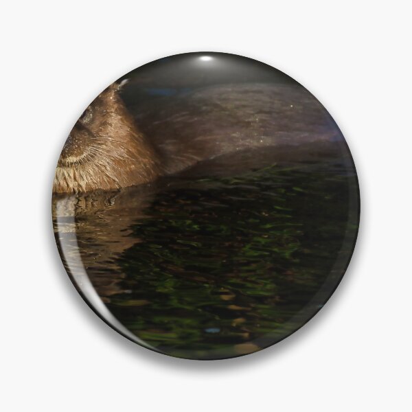 Item preview, Otter on the Water of Leith in Edinburgh designed and sold by RobinDHunter.