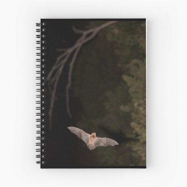 Item preview, Microbat at Night designed and sold by photographyk.