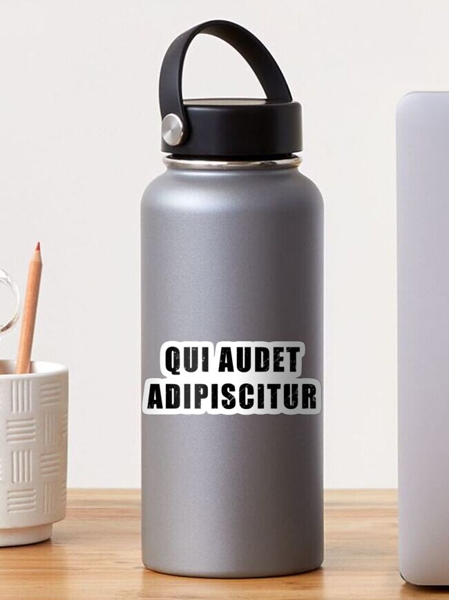 Qui Audet Adipiscitur - Latin phrase meaning Who Dares Wins | Sticker