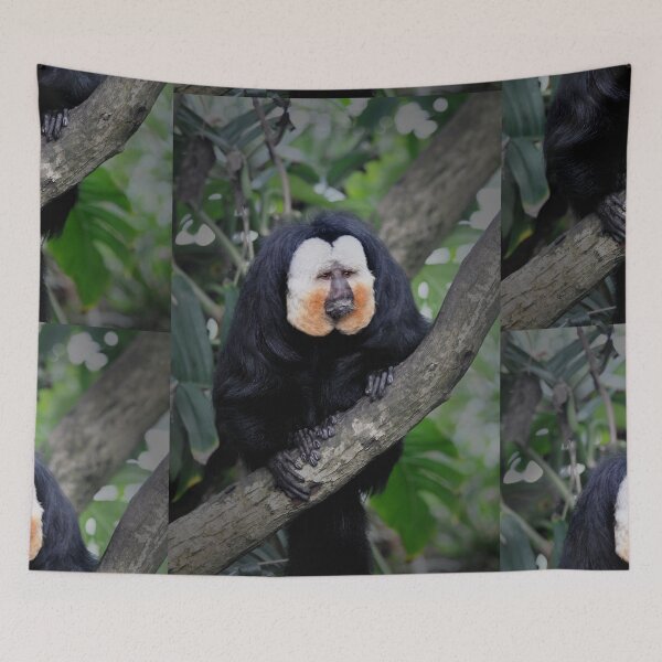 Item preview, Saki Monkey designed and sold by Savannah Gibbs.