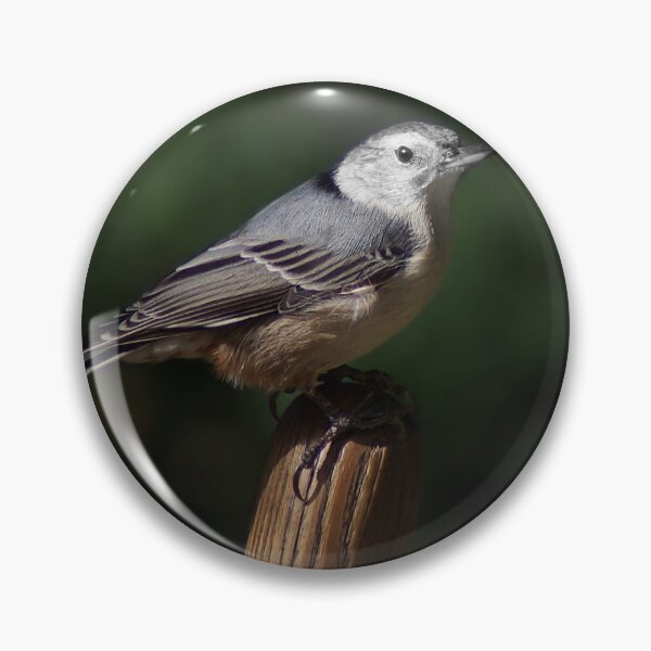 Item preview, White Breasted Nuthatch designed and sold by cherylorraine.
