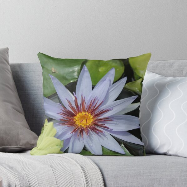 Item preview, Star designed and sold by David Longpre.