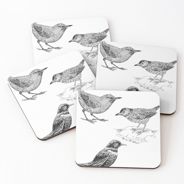 Aperçu de l'œuvre Curieux petits amis oiseaux créée et vendue par TheWaterBirds.