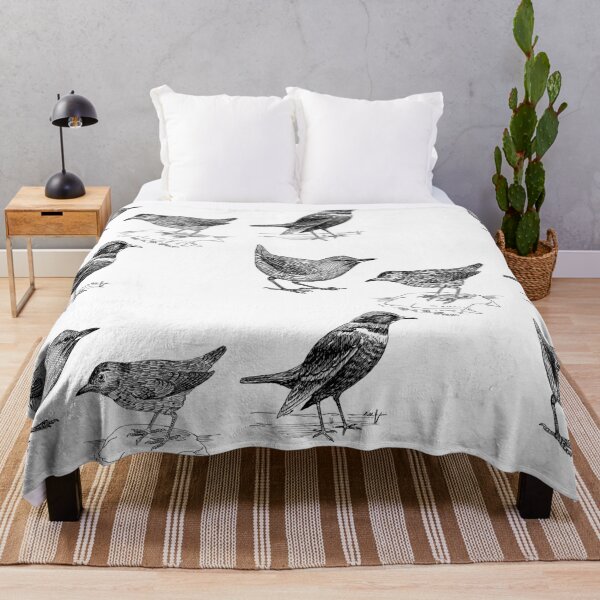 Item preview, Curious little bird friends designed and sold by TheWaterBirds.