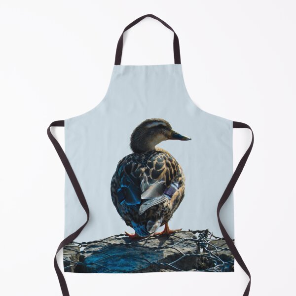 Item preview, Female Mallard Duck sitting alone on Rocks designed and sold by Robert Link.