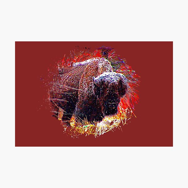 Item preview, Buffalo in the Snow Front view Wichita Mountain Wildlife Refuge Oklahoma Red Autumn Leaves designed and sold by hannaHKyong.