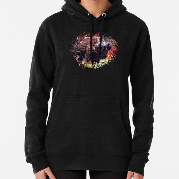 Buffalo in the Snow Front view Wichita Mountain Wildlife Refuge Oklahoma Red Autumn Leaves Pullover Hoodie