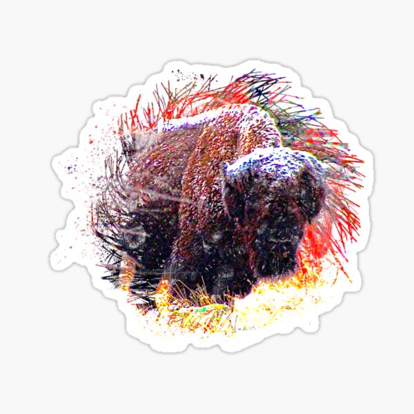 Item preview, Buffalo in the Snow Front view Wichita Mountain Wildlife Refuge Oklahoma Red Autumn Leaves designed and sold by hannaHKyong.