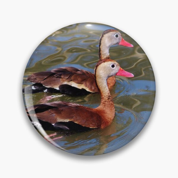 Item preview, Black-bellied Whistling Ducks designed and sold by Cynthia48.