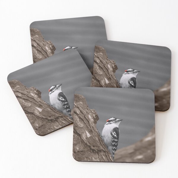 Item preview, Downy Woodpecker designed and sold by cherylorraine.