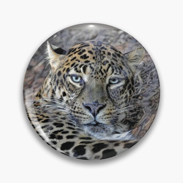 Item preview, Clouded Leopard designed and sold by Savannah Gibbs.