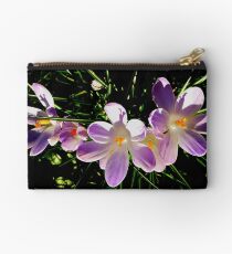 Messengers of spring Studio Pouch