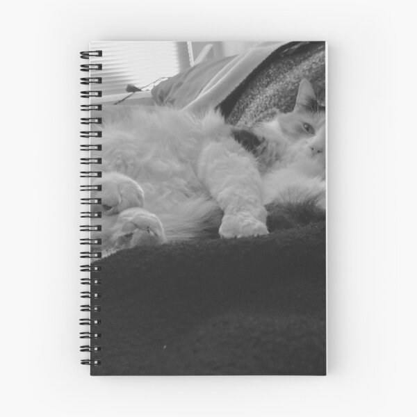 Item preview, Calico on Blanket in black and white designed and sold by TM Art.