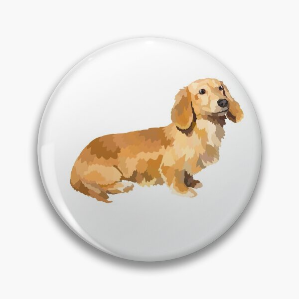 Item preview, Long haired Dachshund  designed and sold by Avastav18.