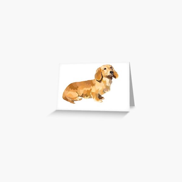 Item preview, Long haired Dachshund  designed and sold by Avastav18.
