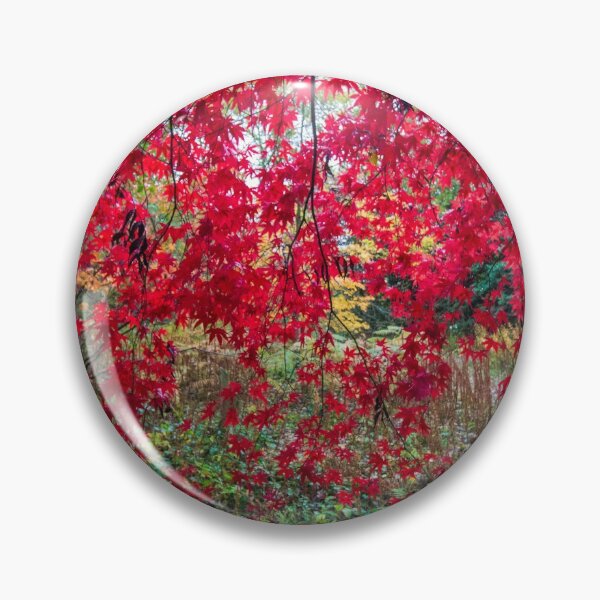 Item preview, Curtain of red Maple leaves designed and sold by HalcyonPrints.