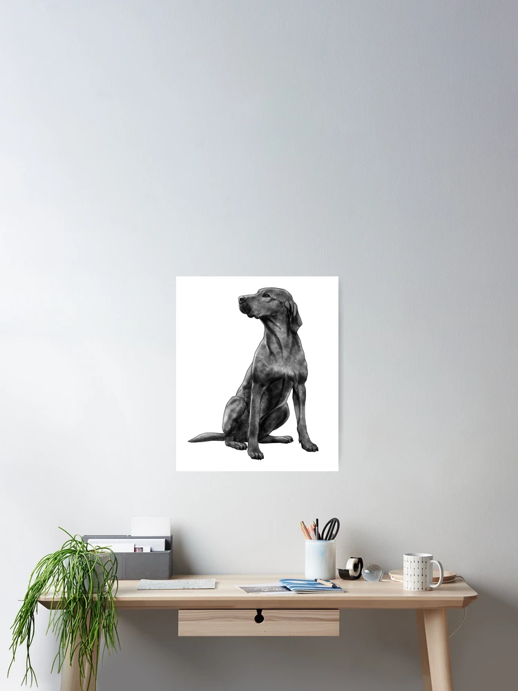 Thumbnail 2 of 3, Poster, Sitting Rhodesian Ridgeback Dog designed and sold by alwe-designs.