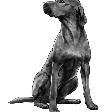 Artwork thumbnail, Sitting Rhodesian Ridgeback Dog by alwe-designs
