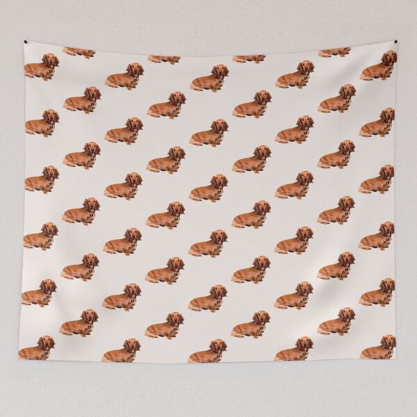 Item preview, Long haired dachshund  designed and sold by Avastav18.
