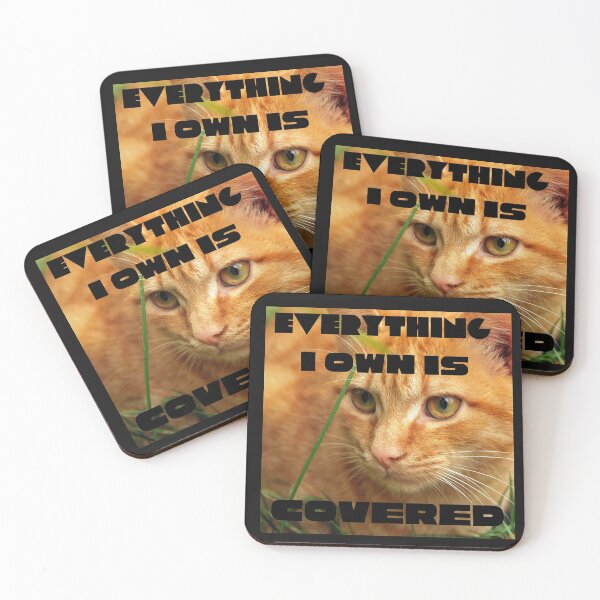 Item preview, Everything I own is covered in cat hair designed and sold by Susan Pfrender.