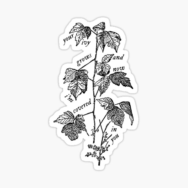 Item preview, taylor swift ivy lyrics designed and sold by loverofseals.