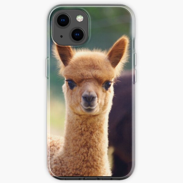 Cute Baby Alpaca iPhone Soft Case