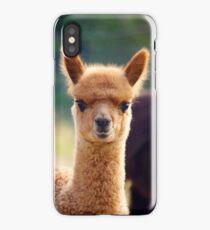 Cute Baby Alpaca iPhone Case