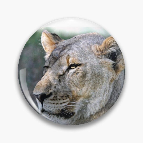 Item preview, Lioness designed and sold by Savannah Gibbs.