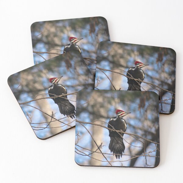 Item preview, Pileated Woodpecker Posed designed and sold by MustelidMayArt.