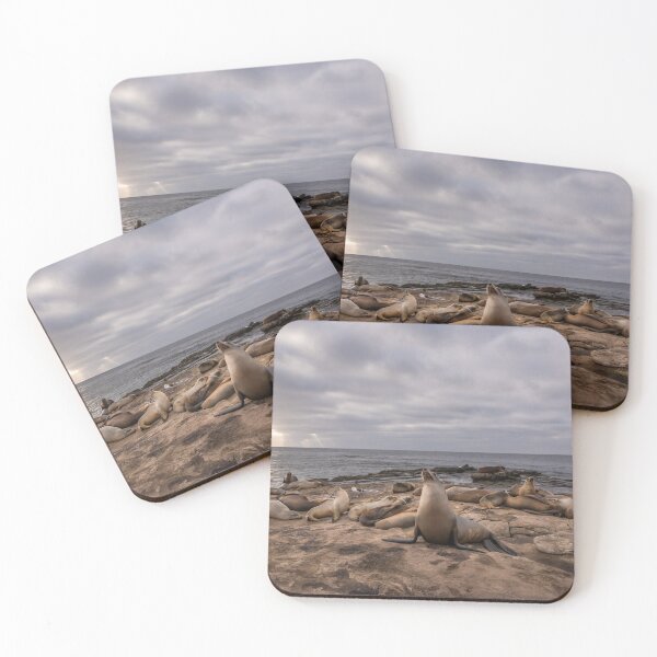 Item preview, The Seal King designed and sold by DHillsPhoto.
