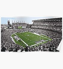 Philadelphia Eagles Nest Poster