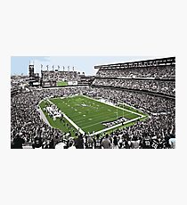 Philadelphia Eagles Nest Photographic Print