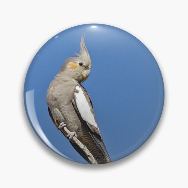 Item preview, Cockatiel ~ Freedom  designed and sold by Robert Elliott.