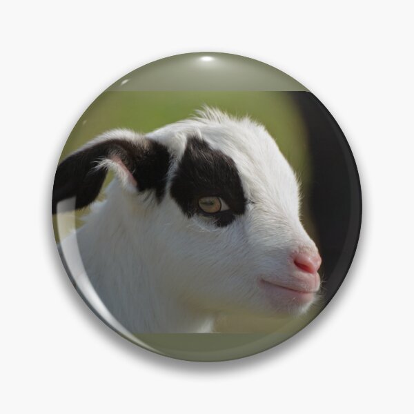 Item preview, Cabrito designed and sold by Savannah Gibbs.