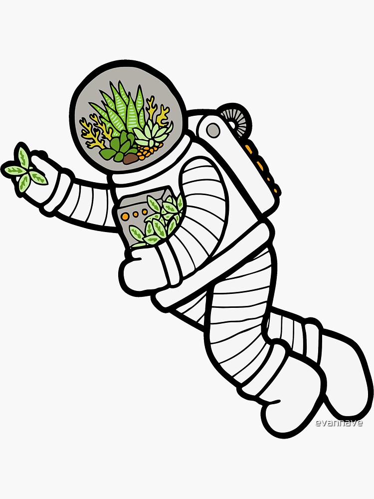 Astro Terrarium Pattern by evannave