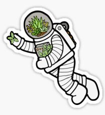 Astro Terrarium Pattern Sticker