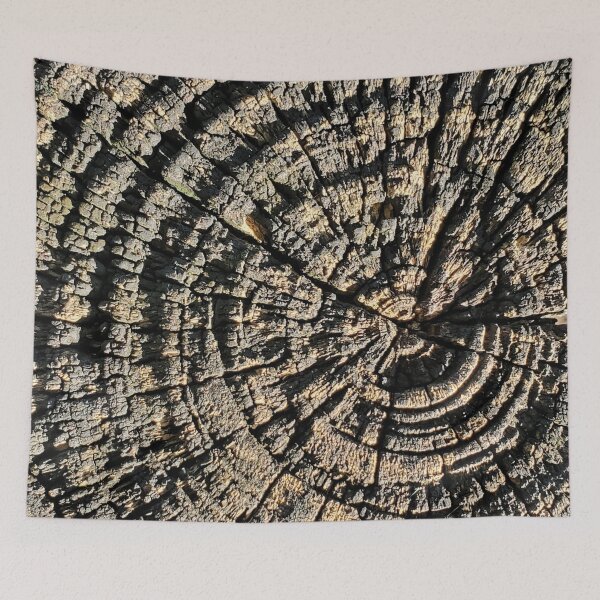 Item preview, Hundred-year-old tree wood trunk, nature designed and sold by KarlaHR.