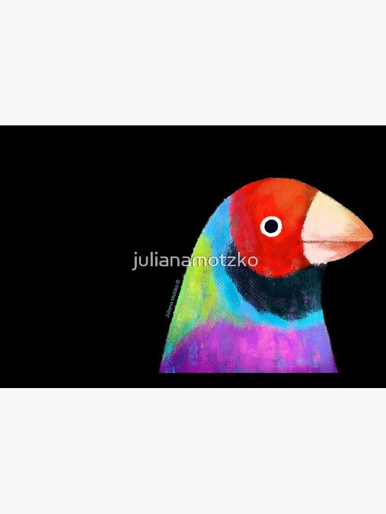 Gouldian Finch Bird by julianamotzko