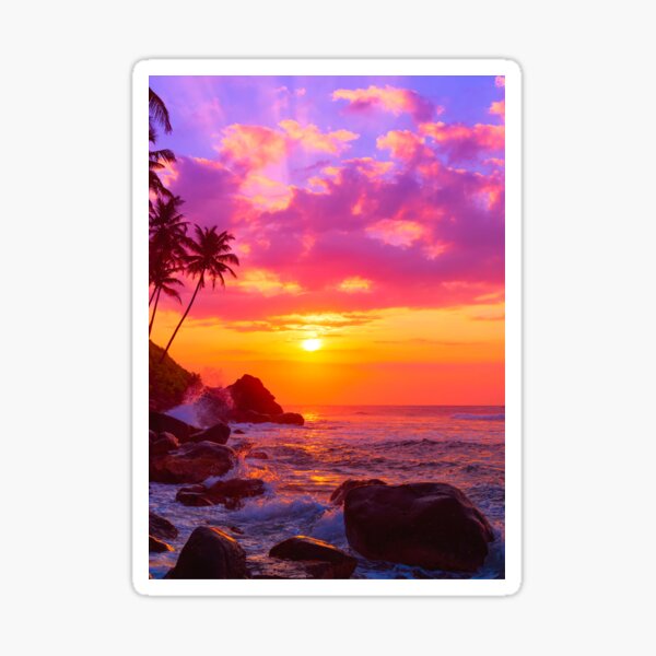Society6 ケース Sunset on Exotic Beach by BluedarkArt Amazon.com: GREATBIGCANVAS Red Orange Blue Sunset Beach Sea