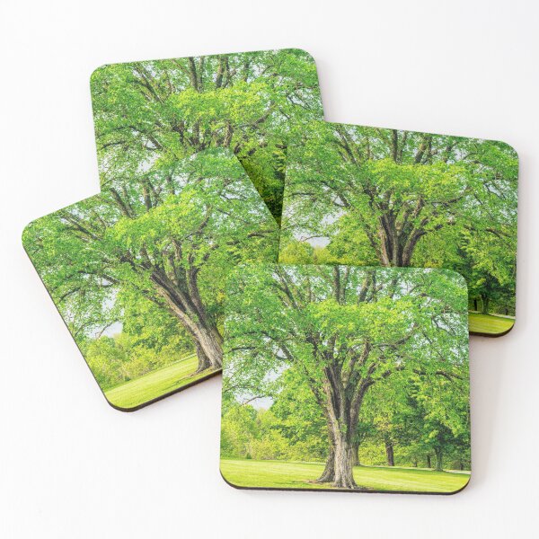Item preview, Large Elm Tree Vertical designed and sold by mljdwhite.