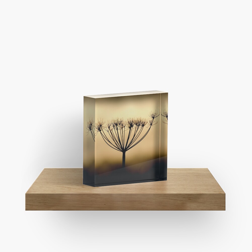 Item preview, Acrylic Block designed and sold by McBay.