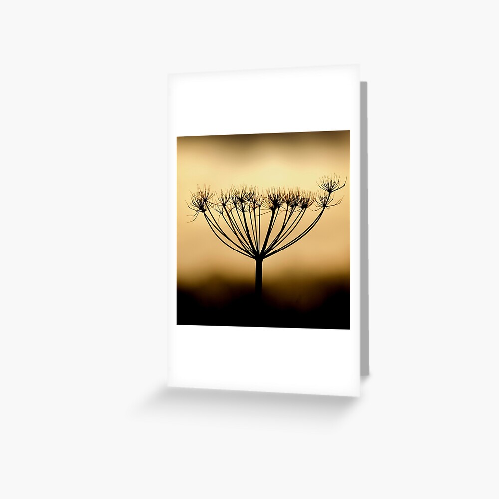 Item preview, Greeting Card designed and sold by McBay.